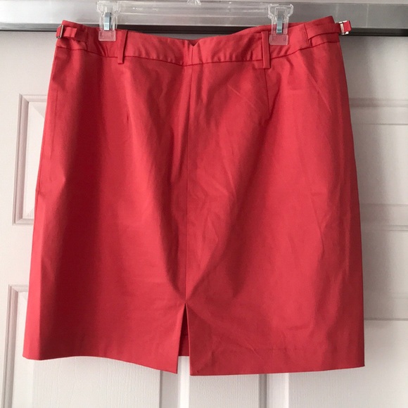 Limited skirt - Picture 2 of 3